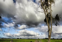 旺财28官网：0-3！不敌欧洲冠军，国乒19岁小将一轮游，林高远成上半区独苗.