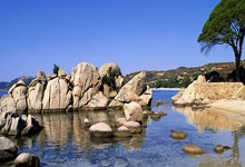 [澳网]女单第2轮：高芙VS伯雷奇 集锦.